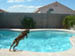 Brit in air