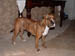 DSCF0137