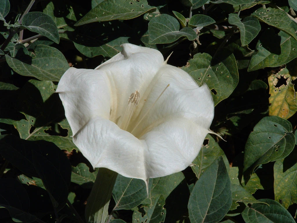 DSCF0009