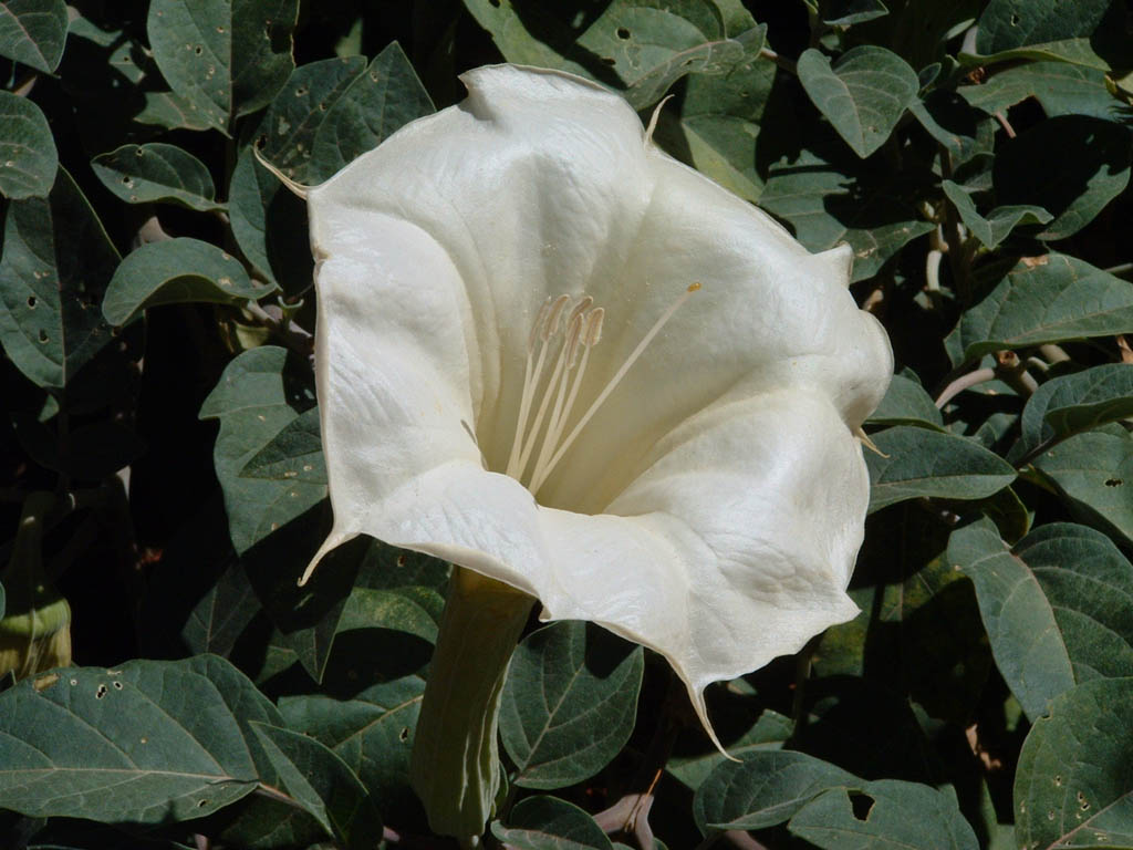 DSCF0010