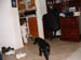 DSCF0007