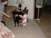 DSCF0009
