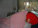 DSCF0017